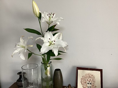 巨大なユリをいただきました。でも大丈夫。この花瓶は元スパゲッティの保存瓶だけど、こんな場合に大活躍。